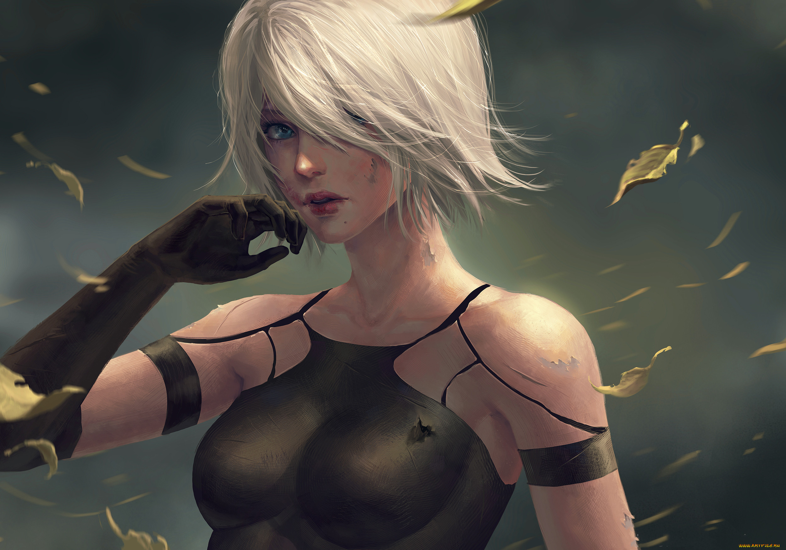  , nier,  automata, , , 